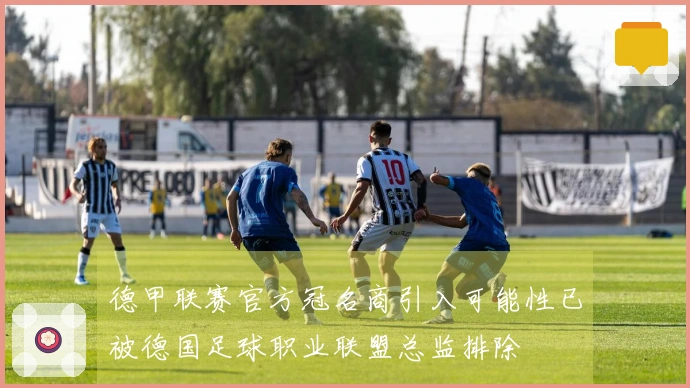 德甲联赛官方冠名商引入可能性已被德国足球职业联盟总监排除